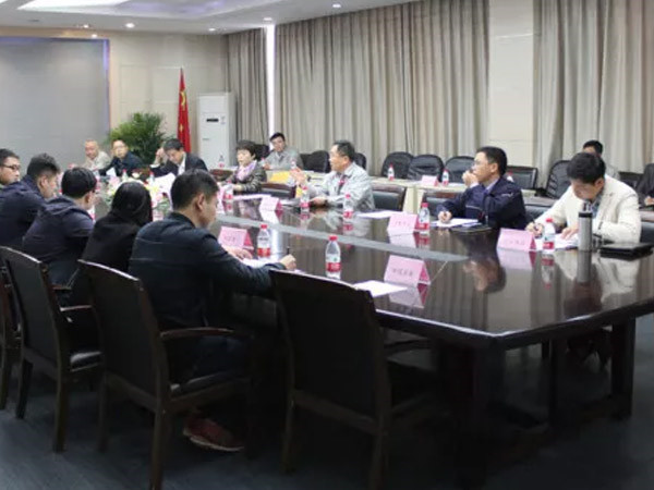 公司隆重召開(kāi)2010年度工作總結(jié)暨表彰大會(huì)